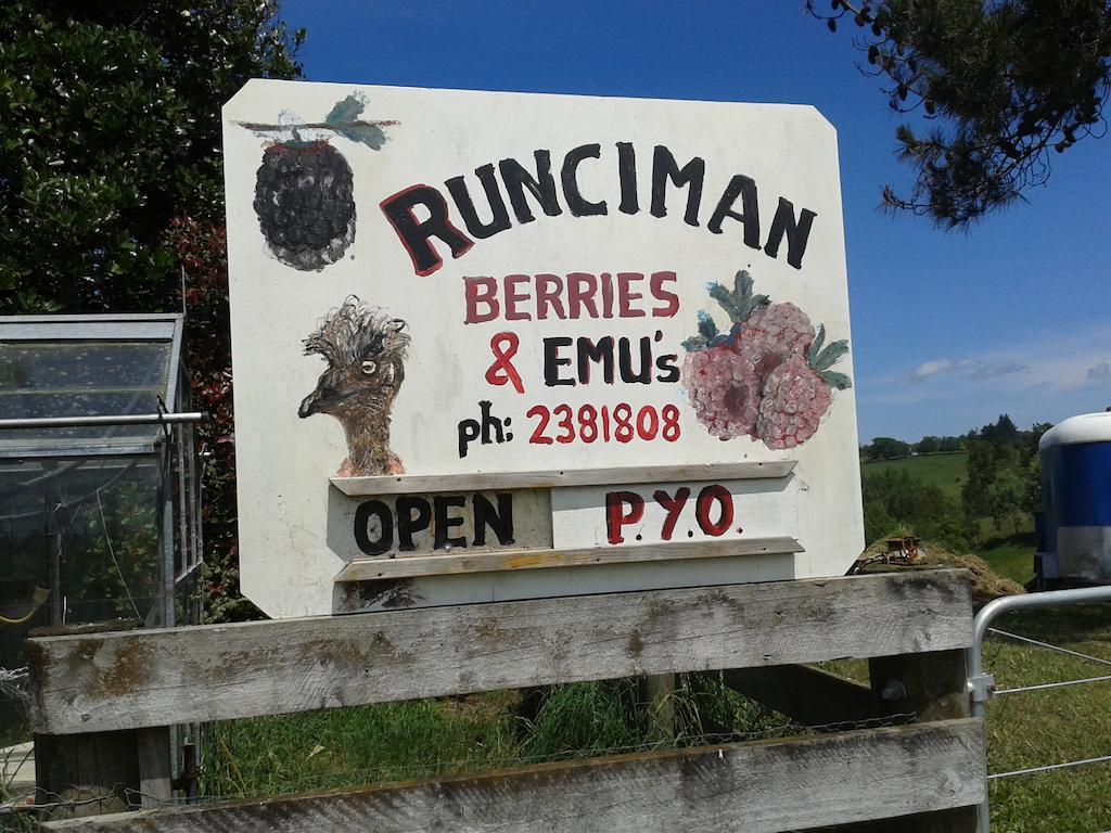 Runciman Berries And Emus B&B Ramarama Екстериор снимка