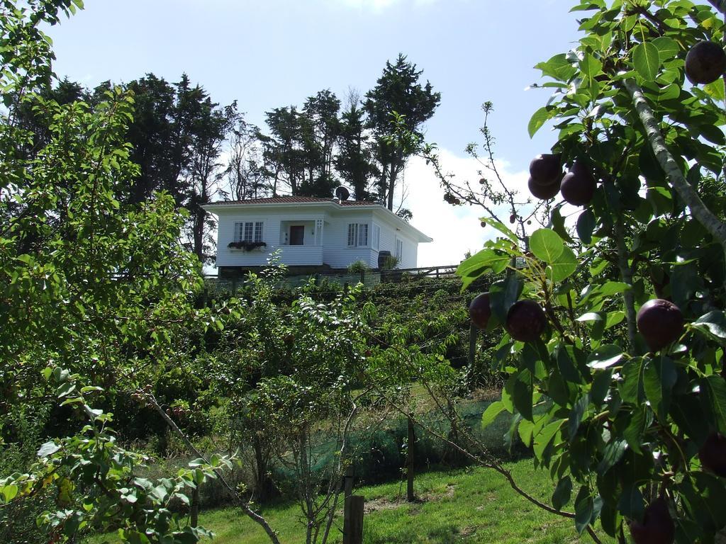 Runciman Berries And Emus B&B Ramarama Екстериор снимка