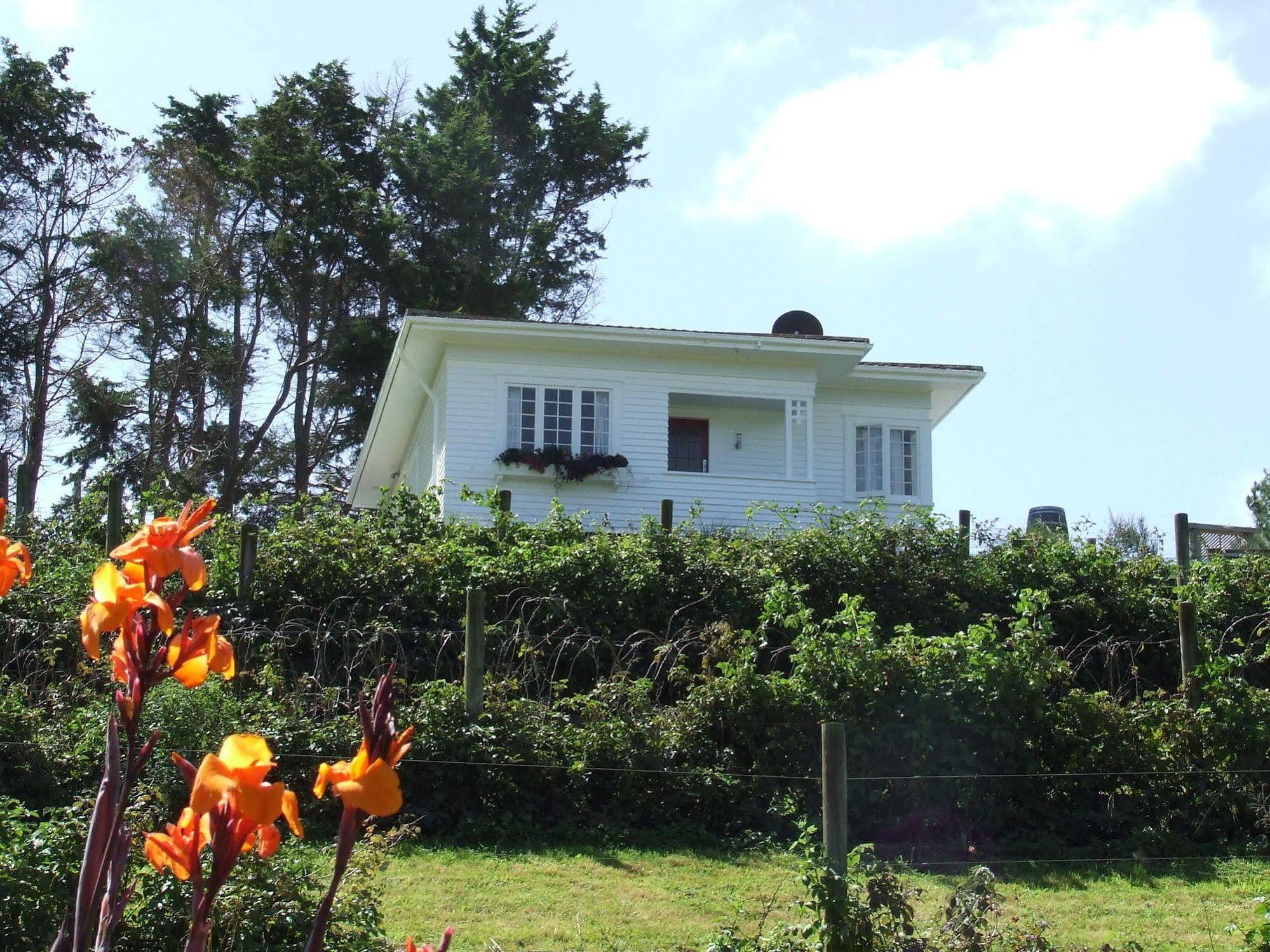 Runciman Berries And Emus B&B Ramarama Екстериор снимка