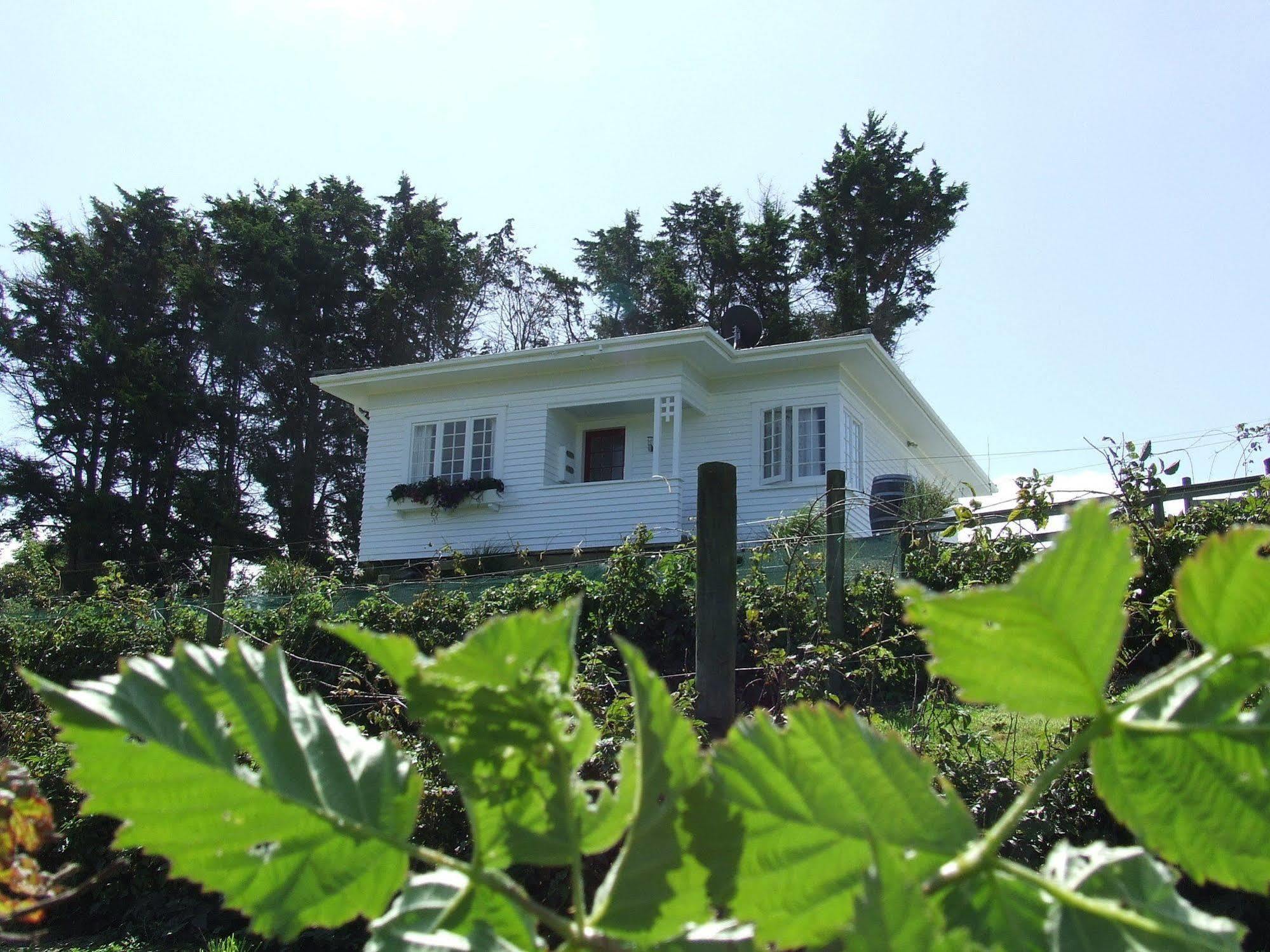 Runciman Berries And Emus B&B Ramarama Екстериор снимка