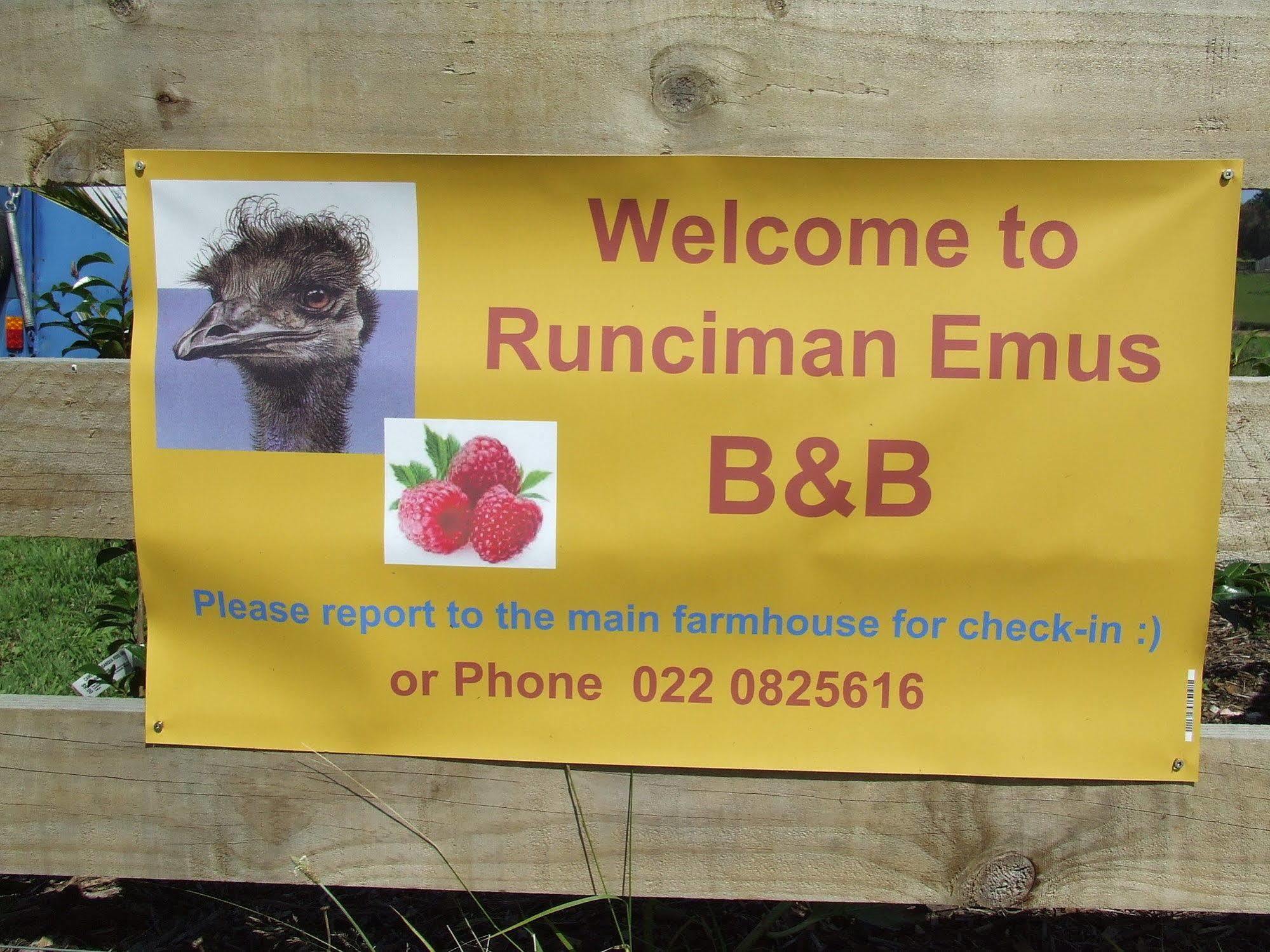Runciman Berries And Emus B&B Ramarama Екстериор снимка
